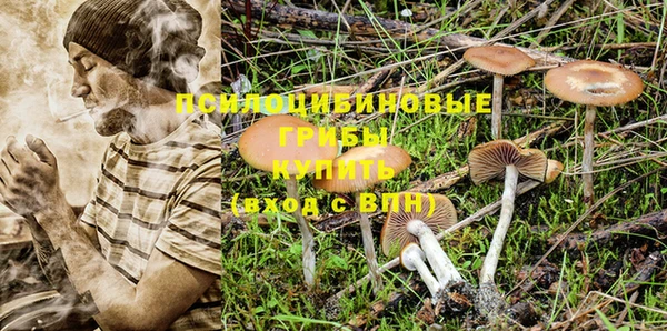 соль курить ск Кинешма